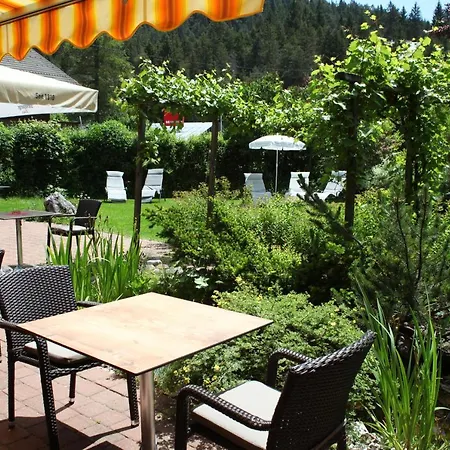 Guest house Bergfrieden Leutasch/seefeld 3*