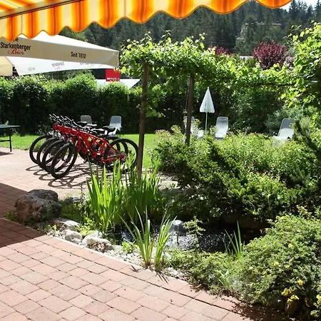 Affittacamere Bergfrieden Leutasch/seefeld Leutasch